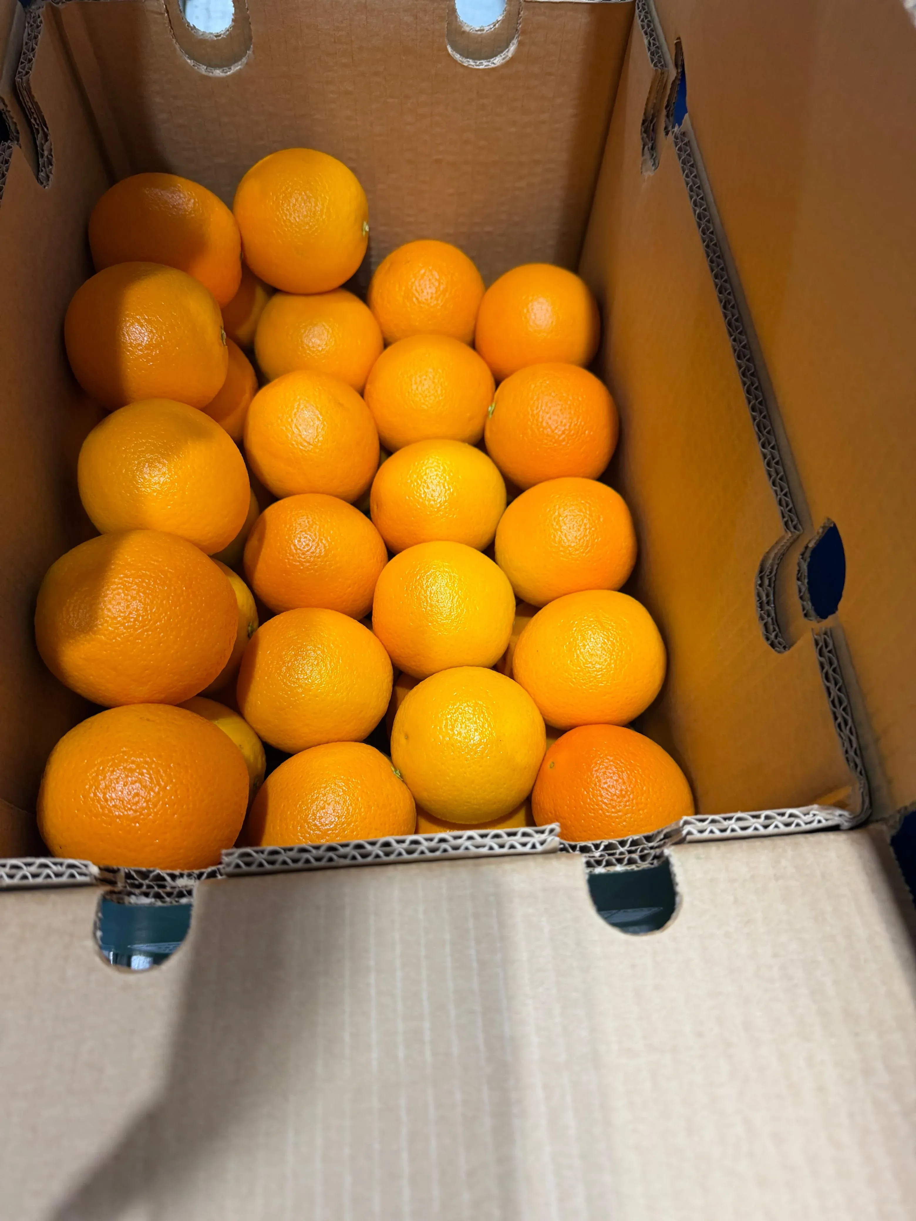 Cold storage facility