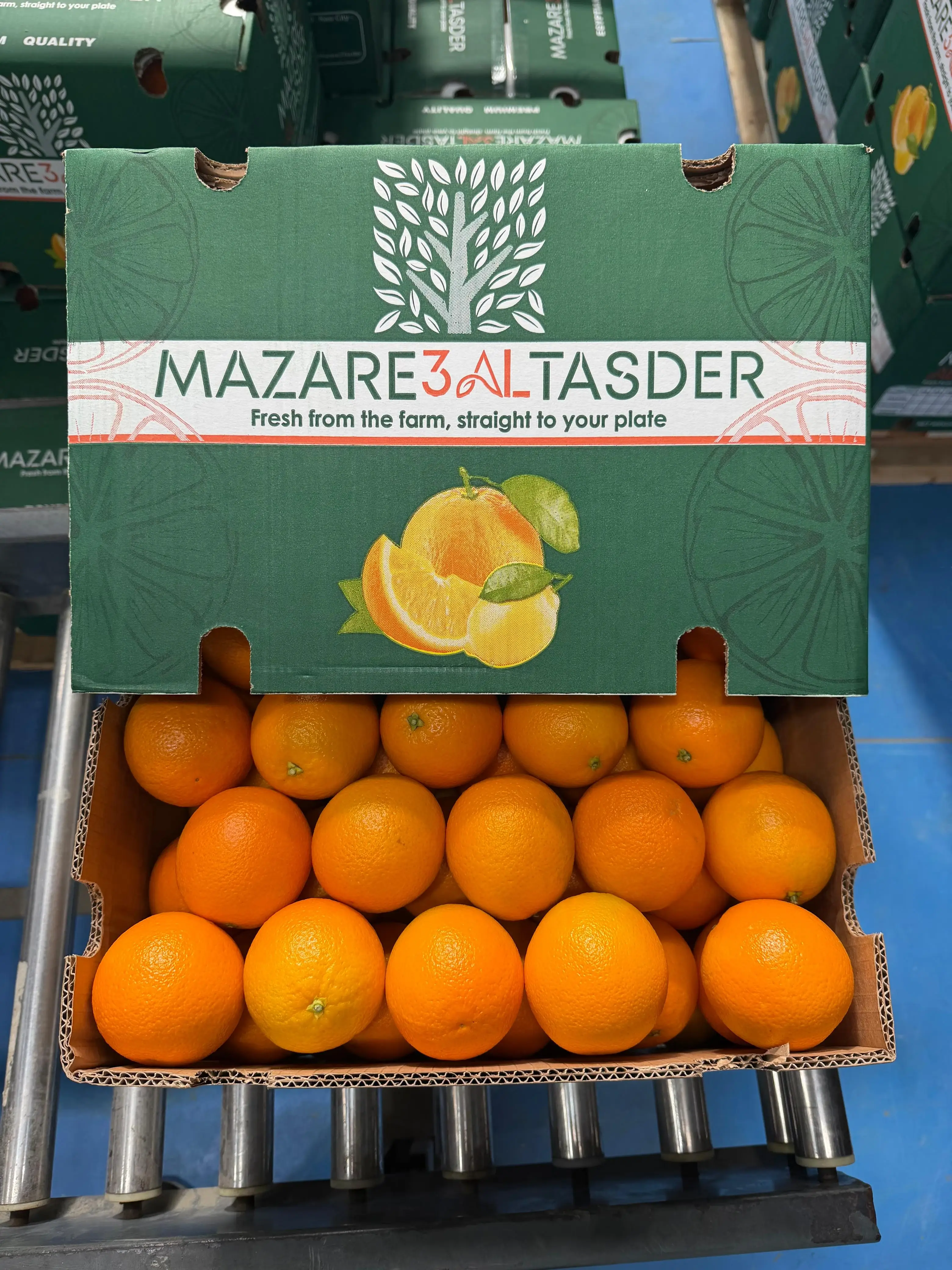 Branded box showcase with oranges